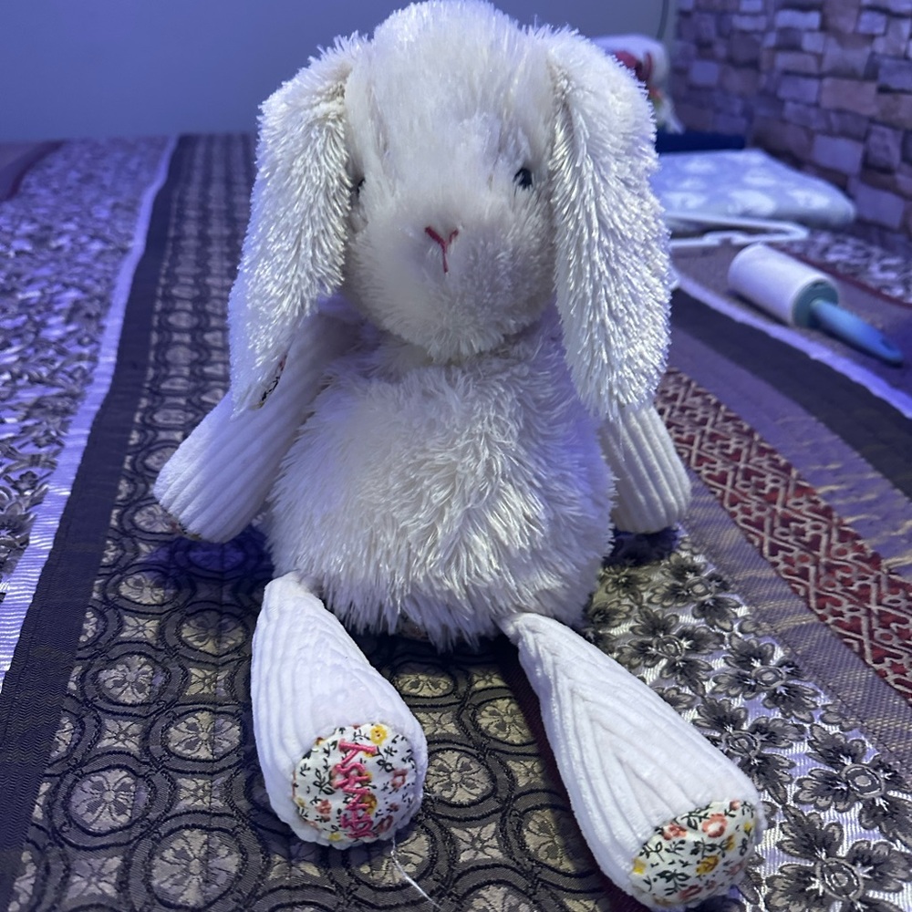 Scentsy Buddy’s Penny the Pig & Rosemary the Rabbit - Picture 6 of 11